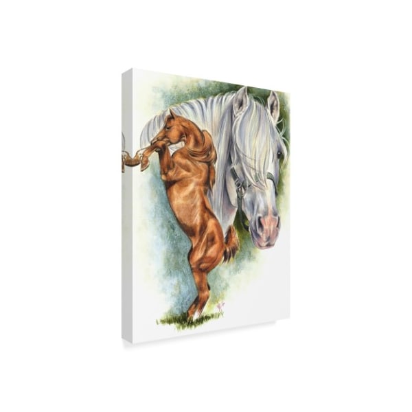 Barbara Keith 'Andalusian Spanish Mustang' Canvas Art,14x19